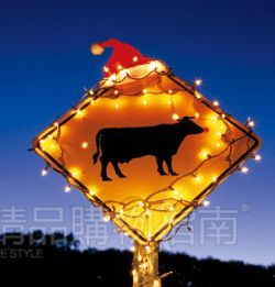 陷入回忆的华沙