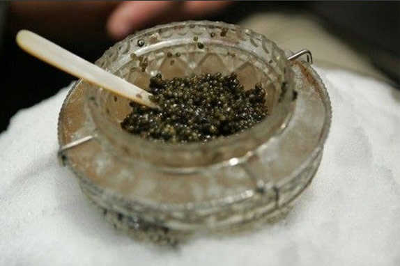顶级黑鱼子酱制作全程 贵得离谱