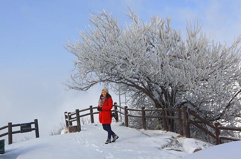 鸡公山迎来2012年冬季的第一场雪