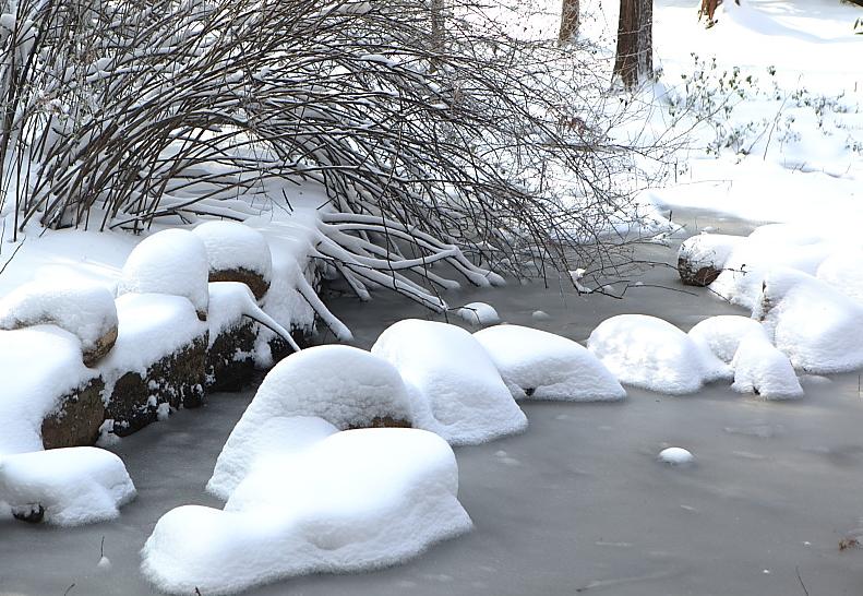 鸡公山迎来2012年冬季的第一场雪