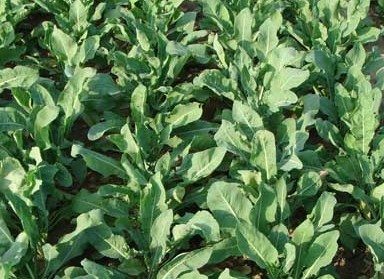 点击进入下一页 点击进入下一页