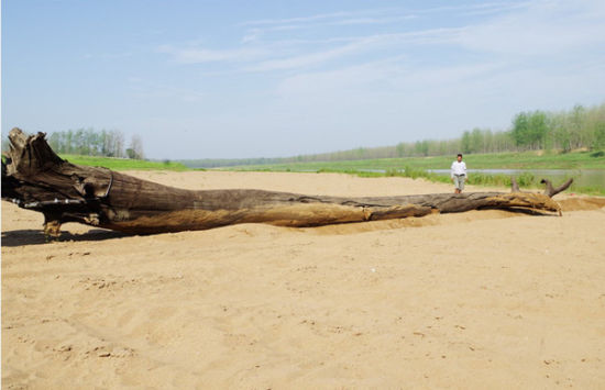 图片由许学堂提供