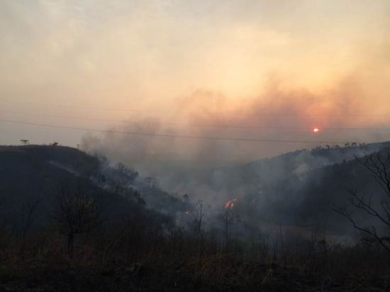 大火产生的浓烟遮天蔽日 　　网友“TS南湾水很深”供图