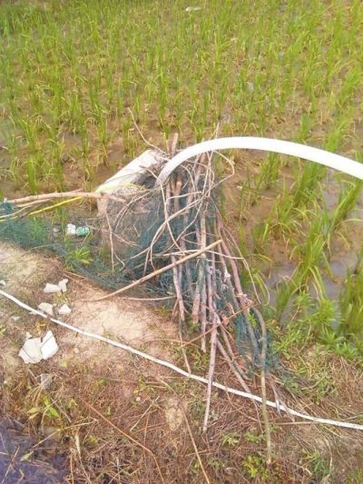 村民自行设置的简陋的抽水设施