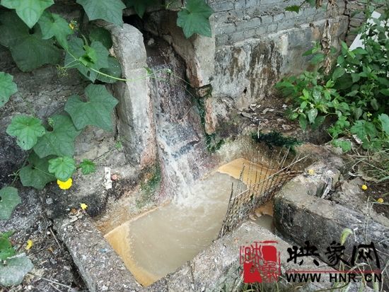 洗餐具的污水直接从厂房里流出来 吴彦飞摄